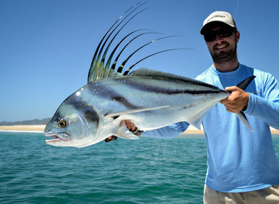 LIVING WILD: Fly Fishing the Beaches of Baja California Sur, Mexico